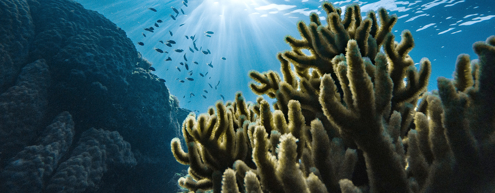 龙八国际中水回用、陶瓷膜、石墨烯膜、黑金膜公众号，，，，，接待您扫码关注！