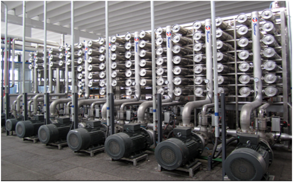 生物手艺有限公司抗生素膜应用项目