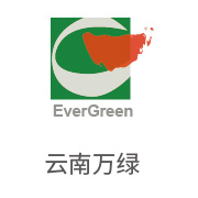 龙八国际相助同伴：云南万绿