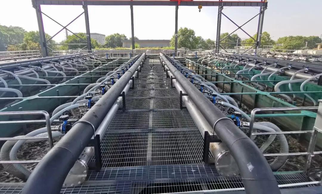 龙八- long8(国际)唯一官方网站