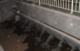 小型农村污水处置惩罚装备应用要求有哪些？？？？？？？