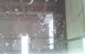 畜禽废水处置惩罚装备结构是怎样的？？？？？？？？三大特点先容！