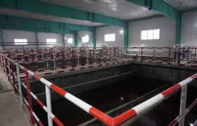 温度转变会影响垃圾渗滤液处置惩罚装备处置惩罚效率吗？？？？？？？？