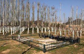 中水回用系统的五大优势，，，，，，，你知道哪些？？？？？？？？