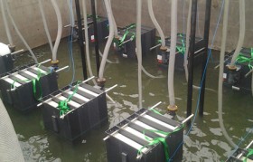 农村污水一体化污水处置惩罚装备有什么生长优势？？？？？？