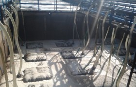 农村污水处置惩罚设施运行维护有哪些？？？？？