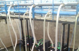 污水处置惩罚mbr膜堵了怎么办？？？？？？mbr膜为什么总是堵？？？？？？