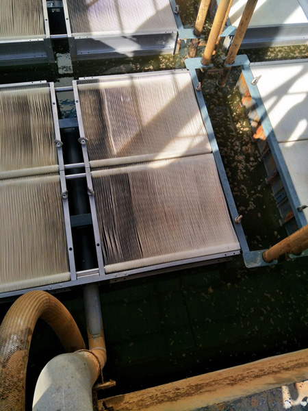 水处置惩罚在工业手艺领域的应用有哪些？？？？？？